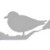 Profile picture of surfbirds