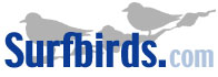 surfbirds logo