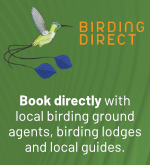Birding Direct