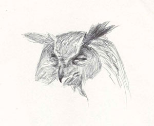 Eagle Owl by Paschalis Dougalis