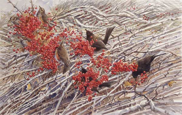 Redwings and Blackbirds by Michael Warren